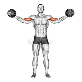 Высокий завиток demonstration