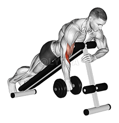 Dumbbell One Arm Reverse Spider Curl demonstration