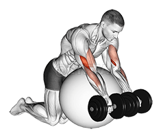 Curl de prédicateur d'haltères sur ballon d'exercice demonstration