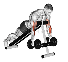 Dumbbell Prone Inline Hammer Curl demonstration