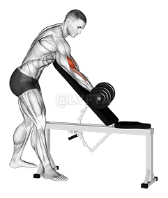 Hantel Standing One Arm Curl Over Incline Bench demonstration