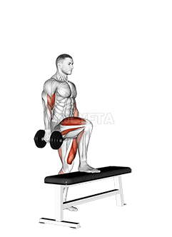 Thumbnail for the video of exercise: Dumbbell Step Up Single Leg Balance with Bicep Curl