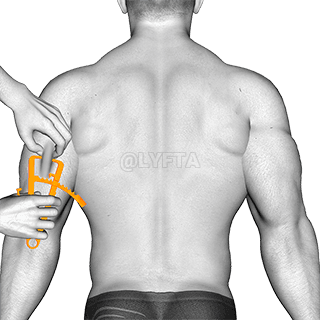 Thumbnail for the video of exercise: قياس نسبة الدهون في الجسم