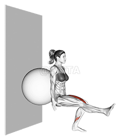 स्टेबिलिटी बॉल सिंगल लेग स्क्वाट demonstration