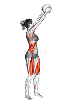 Thumbnail for the video of exercise: Medicine Ball Reverse Wood Chop Squat