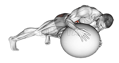 स्टेबिलिटी बॉल पर प्रोन ट्विस्ट demonstration