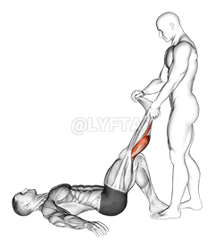 Geassisteerde Ligende Gastrocnemius Strek demonstration