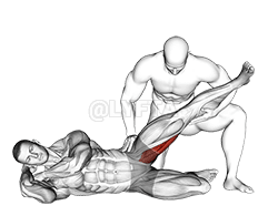 Thumbnail for the video of exercise: Assisted Side Lying Adductor Stretch