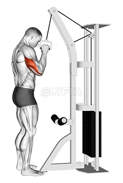 Ka Abɔ Ðeka Tricep Pushdown demonstration