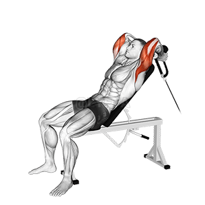 Lanový sklon Tricep Extension demonstration