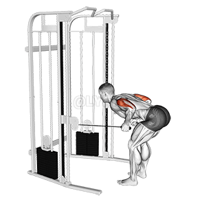 Dvouramenný tricepsový ráz demonstration