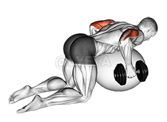 Dumbbell Kickbacks on Exercise Ball demonstration