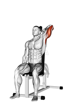 Dumbbell Seated Reverse Grip One Arm Overhead Tricep Extension