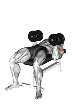 Thumbnail for the video of exercise: Dumbbell Twisting Bench Press