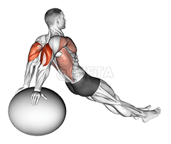 Gyakorló Ball Dip demonstration