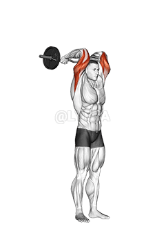 EZ Bar Permanenti Stampa Franċiża demonstration