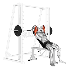 Thumbnail for the video of exercise: Smith Machine Incline Tricep Extension