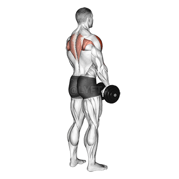 Upright Kab demonstration