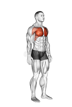 Estiramiento del pecho por encima de la cabeza demonstration