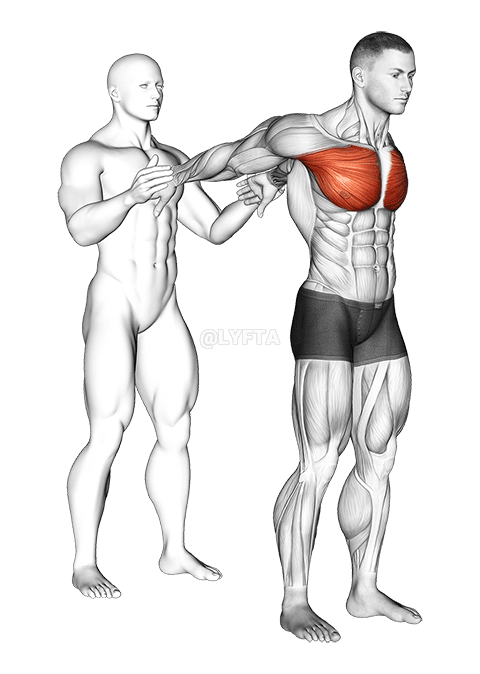 Assisted Standin Chɛst Strɛch demonstration