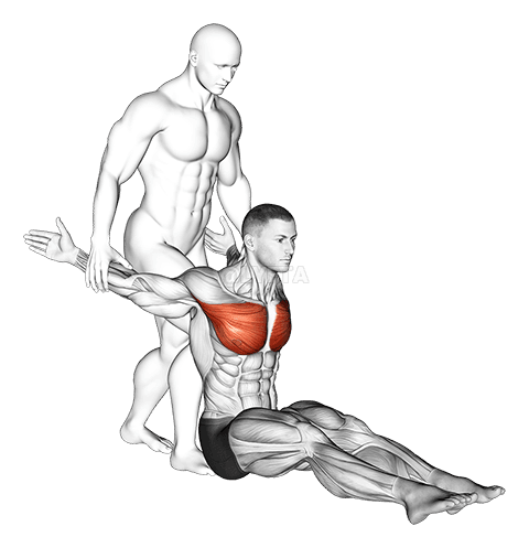 Assisted Sidon Chɛst Stretch demonstration