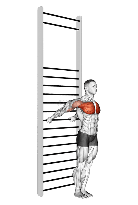 Alongamento do peito em pé demonstration