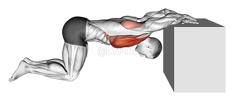 Knælende bryststræk demonstration