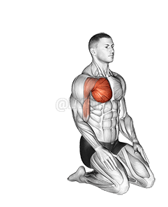 Over Head Straight Arm Stretch demonstration