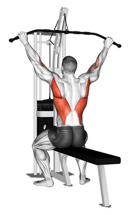 Thumbnail for the video of exercise: Cable Suspension Back Stretch