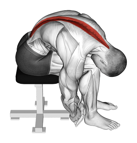 Ülő alsó törzs nyújtó oldalsó hajlító nyújtás demonstration