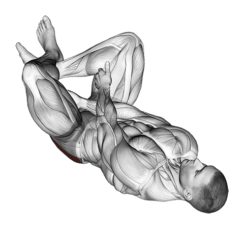 Reclining Lower Trunk Extensor Kekeɖenudɔwɔwɔ demonstration