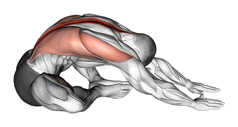 Ülő lábak Együtt Nyújts előre Nyújtás demonstration