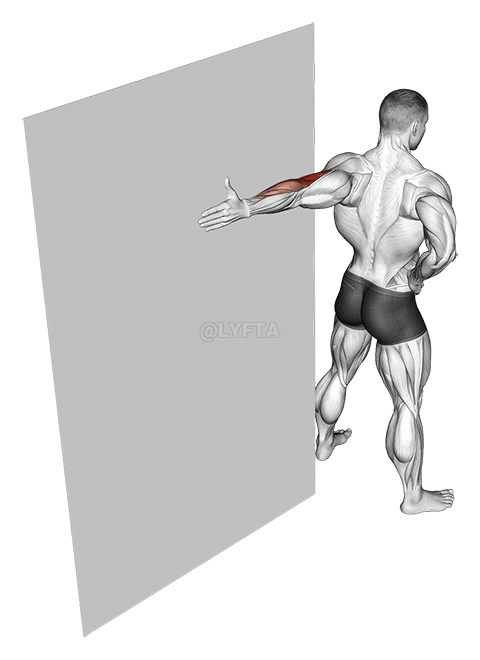 Könyök Flexor Stretch demonstration