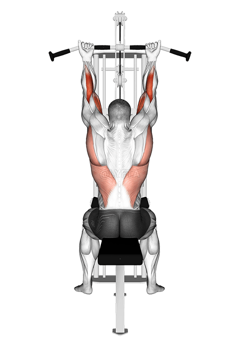 सुपिनेशन स्ट्रेच में पुली मशीन में सस्पेंशन demonstration