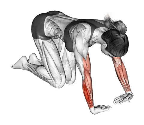 Muñeca Radial Desviador Ukat Extensor Estiramiento demonstration