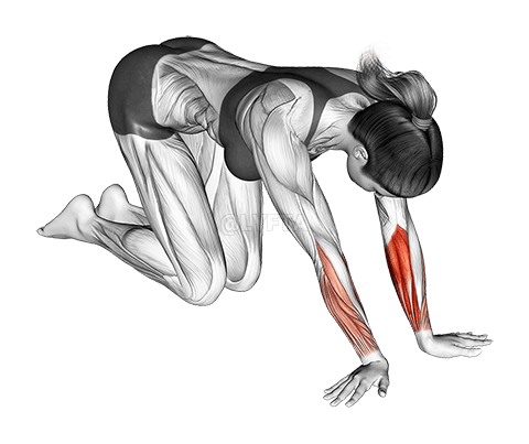 Muñeca Radial Desviador Ukat Flexor Estiramiento demonstration