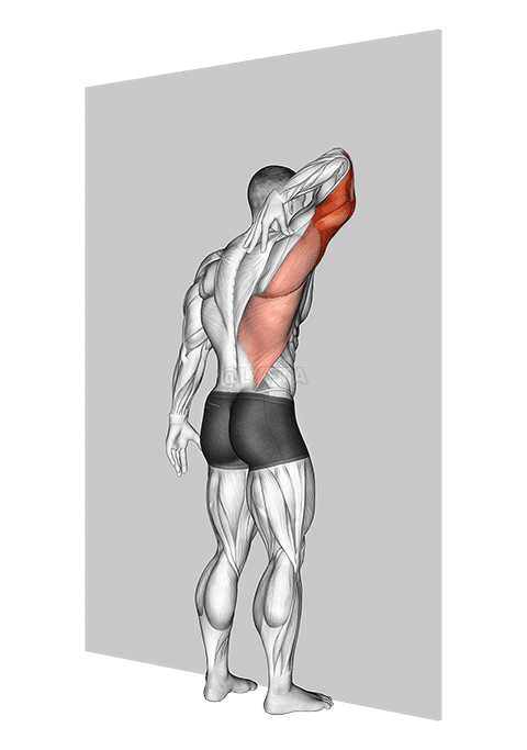 Triceps Stretch Against Wall demonstration