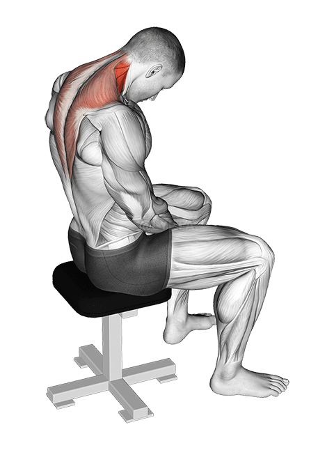 Istezanje vratne fleksije u sjedećem položaju demonstration