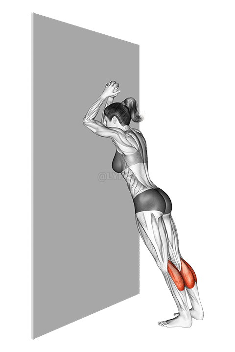 Statická poloha lýtek demonstration