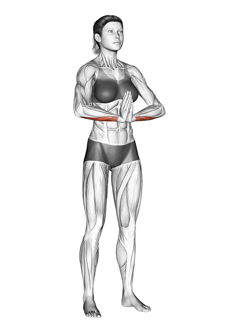 Asibidɛ Flexor Kekeɖenu demonstration