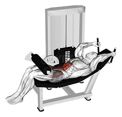 Hendel Liggend Been Heffen Gebogen Knie demonstration