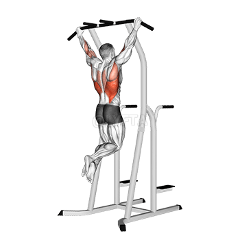 Pull-Up à prise large sur cage de trempage demonstration