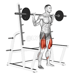 ラック付きローバースクワット demonstration