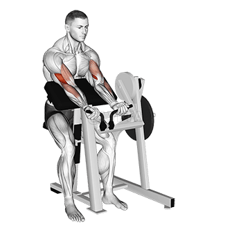 Lever Preacher Curl demonstration