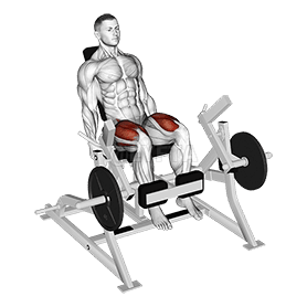 Thumbnail for the video of exercise: Lever Leg Extension