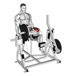 Pákové alternativní prodloužení nohou demonstration