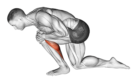 Thumbnail for the video of exercise: Kneeling Heel Down Achilles Stretch