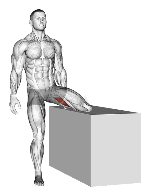 Stående roterende hoftestrækning demonstration