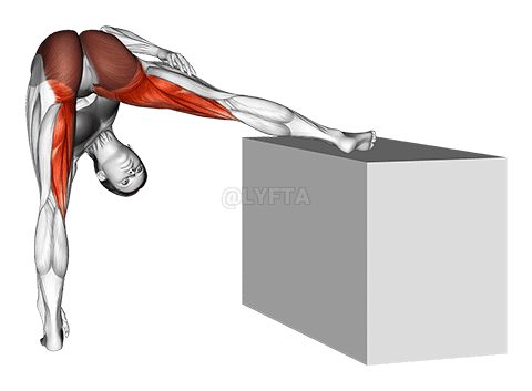 Stående hævet ben Hip Adductor Stretch demonstration