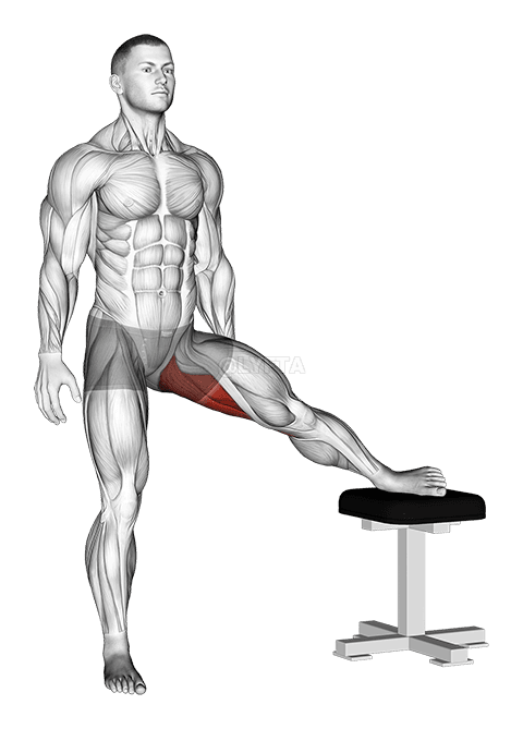Stående Ben Up Adductor Stretch demonstration